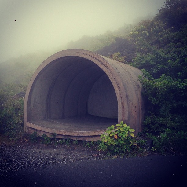 Lava Shelter in the Mist
